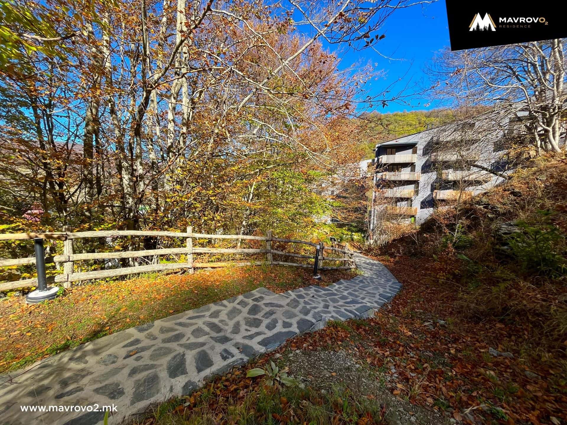 Building in summer with greenery