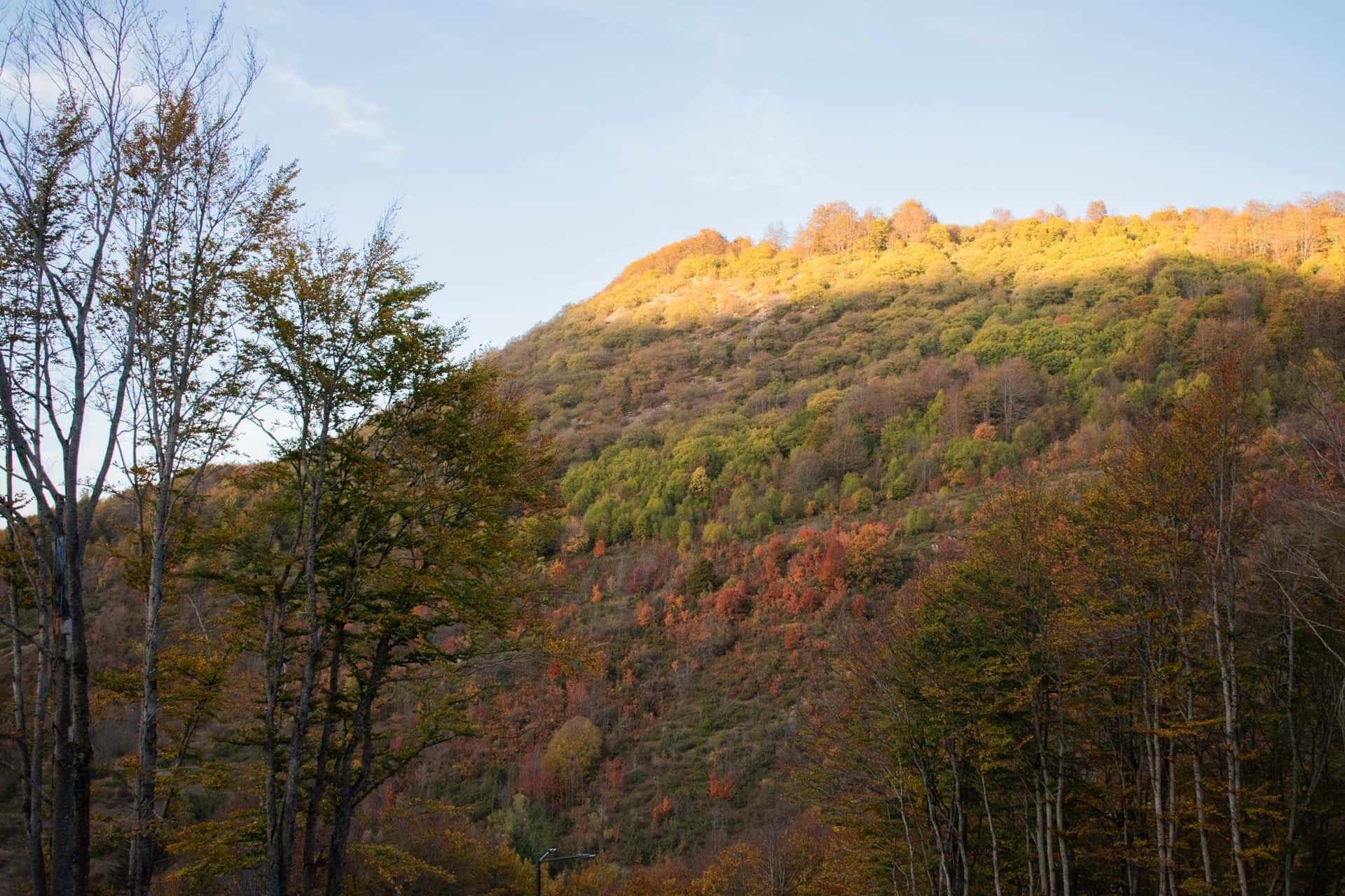 Autumn mountain foliage